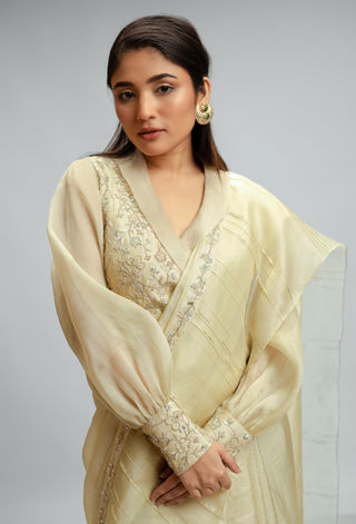 Tussar Silk And Organza Saree Set