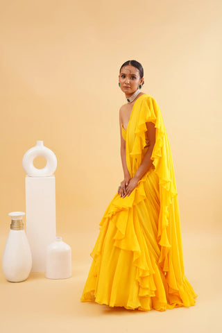 Drape Anmol Saree