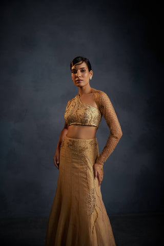 Serenis Lehenga