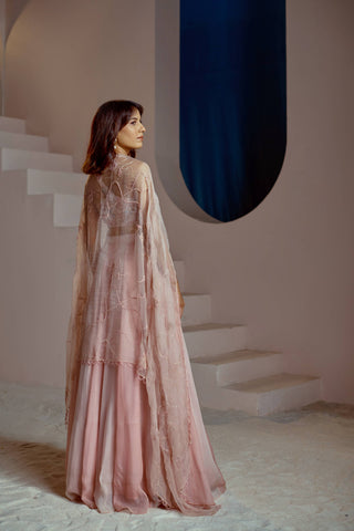 Nectar Lehenga