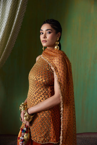 Shabana Kurta Set