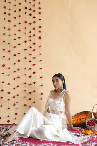 Inaya Organza Cape With Bustier And Circular Palazo