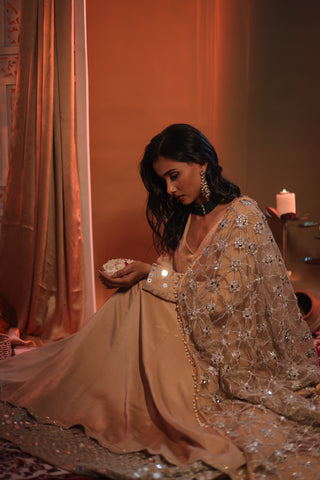 Zarnoor Double Border Anarkali With Mirror Dupatta