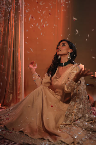 Zarnoor Double Border Anarkali With Mirror Dupatta