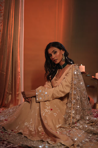 Zarnoor Double Border Anarkali With Mirror Dupatta