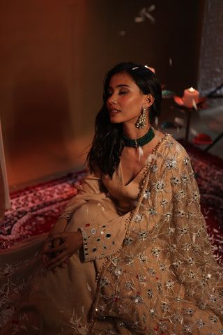 Zarnoor Double Border Anarkali With Mirror Dupatta