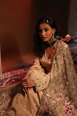 Zarnoor Double Border Anarkali With Mirror Dupatta