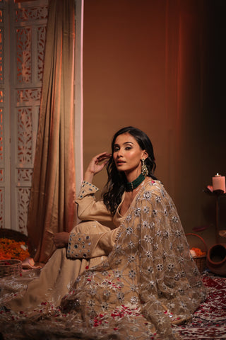 Zarnoor Double Border Anarkali With Mirror Dupatta