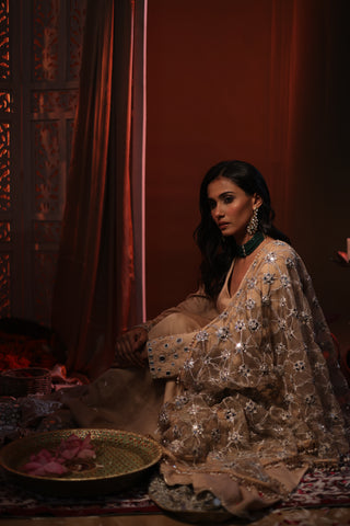 Zarnoor Double Border Anarkali With Mirror Dupatta