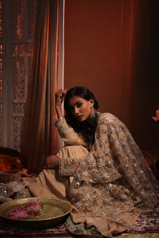 Zarnoor Double Border Anarkali With Mirror Dupatta