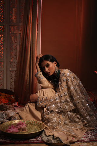 Zarnoor Double Border Anarkali With Mirror Dupatta