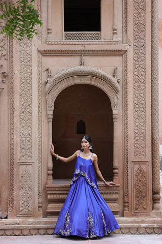 Noor Circular Pleated Skirt With Assymetrical Top