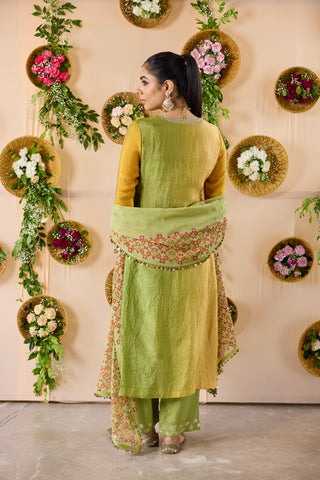 Green Kadamba Suit Set