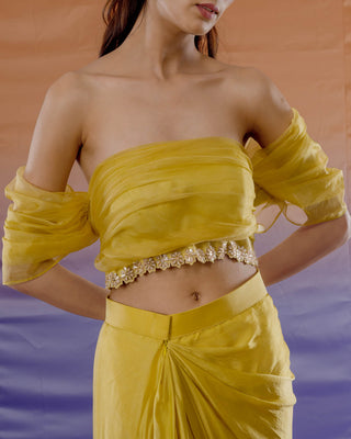 Solea Tulip Lehenga