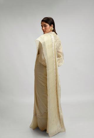 Tussar Silk And Organza Saree Set