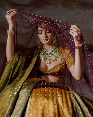 Earthy Patches Lehenga