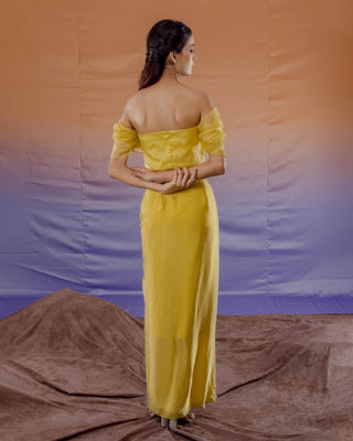 Solea Tulip Lehenga