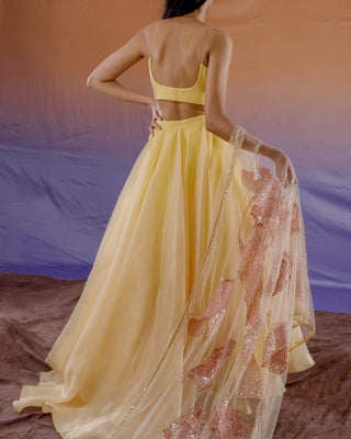 Spring Fall Lehenga