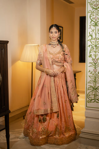 Dusty Peach Embroidered Lehenga Set