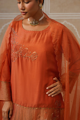 Vamika Terracotta Wrap Co-ord Set