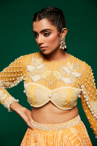 Solea Lehenga