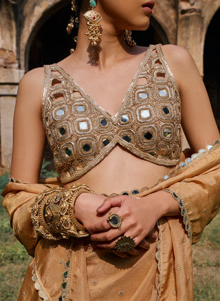 Noori Mirror Work Tissue Saree