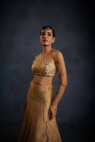 Serenis Lehenga