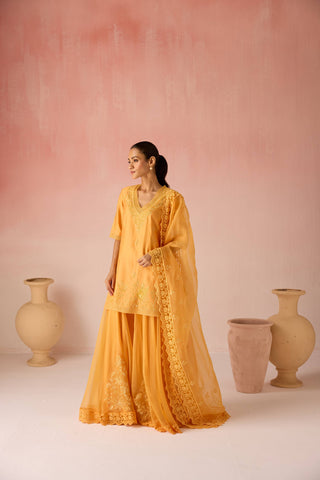 Ochre Short Kurta Set
