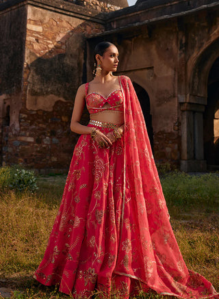 Rasika Printed Lehenga Set