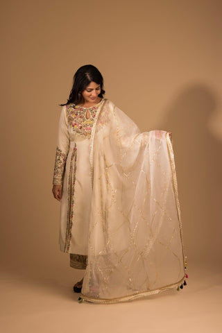 Multi Resham Embroidered Straight Suit