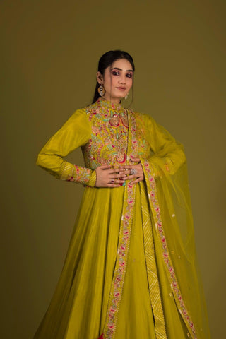 Multi Resham Embroidered Anarkali