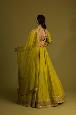 Multi Resham Embroidered Anarkali