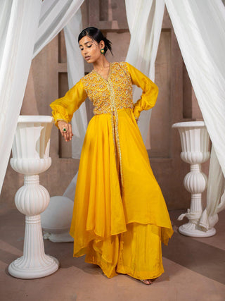 Embroidered Organza Flare Anarkali