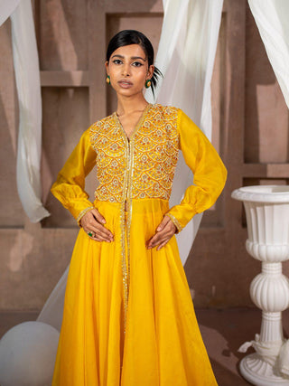 Embroidered Organza Flare Anarkali