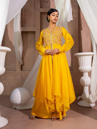 Embroidered Organza Flare Anarkali