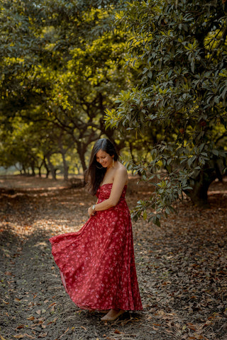 Pankti's Dress