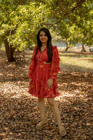 Bhoomi's Dress