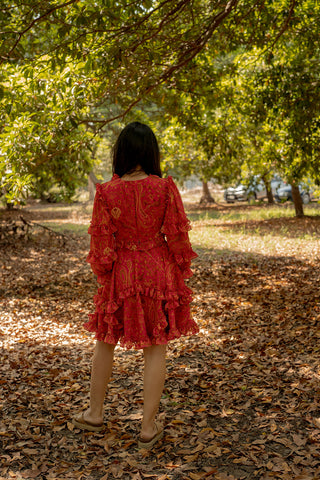 Bhoomi's Dress