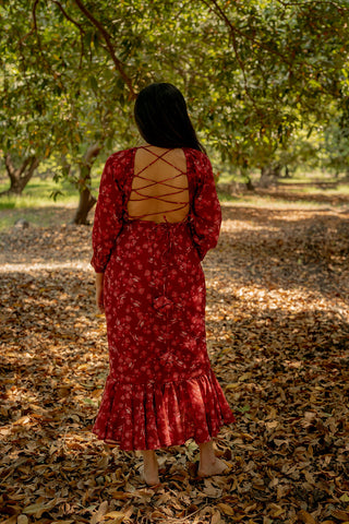Shweta's Dress