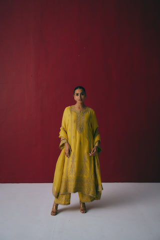 Haldi Bahar Chanderi Set