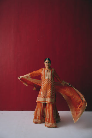 Zafrani Buti Sharara Set